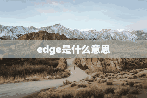 edge是什么意思(edge是什么意思浏览器)